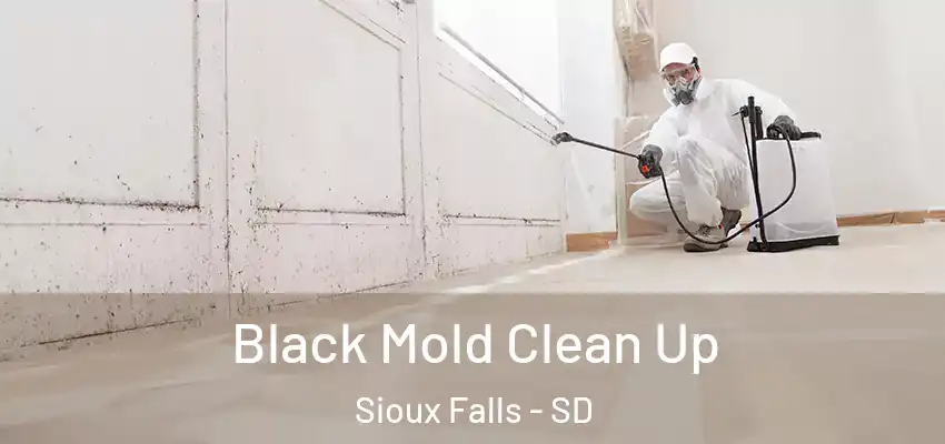  Black Mold Clean Up Sioux Falls - SD
