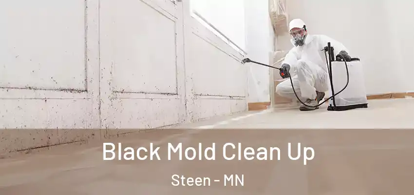  Black Mold Clean Up Steen - MN