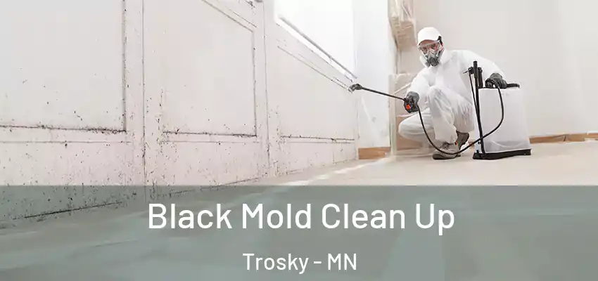  Black Mold Clean Up Trosky - MN