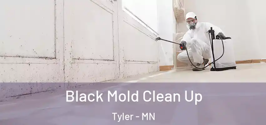  Black Mold Clean Up Tyler - MN