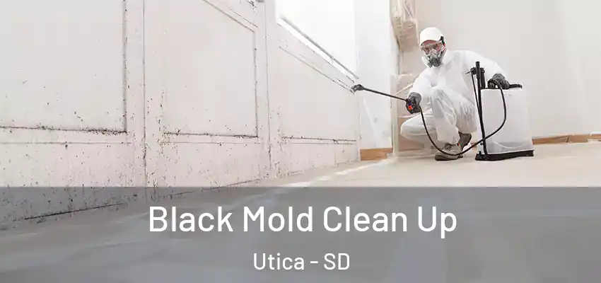  Black Mold Clean Up Utica - SD
