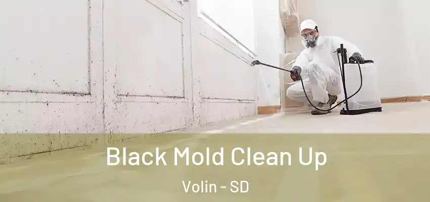  Black Mold Clean Up Volin - SD