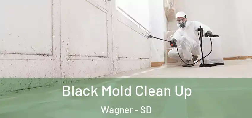  Black Mold Clean Up Wagner - SD