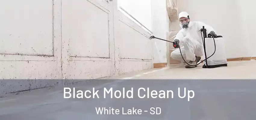  Black Mold Clean Up White Lake - SD