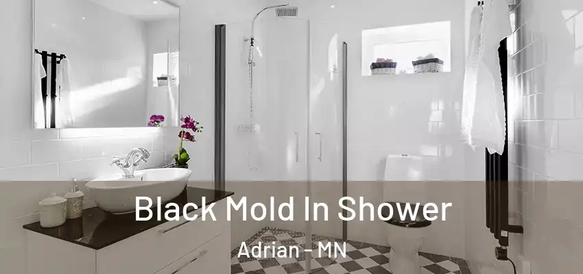 Black Mold In Shower Adrian - MN