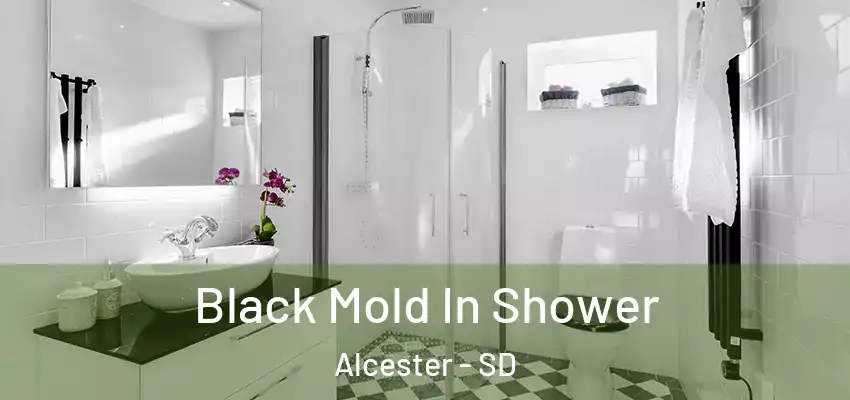  Black Mold In Shower Alcester - SD