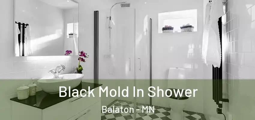  Black Mold In Shower Balaton - MN