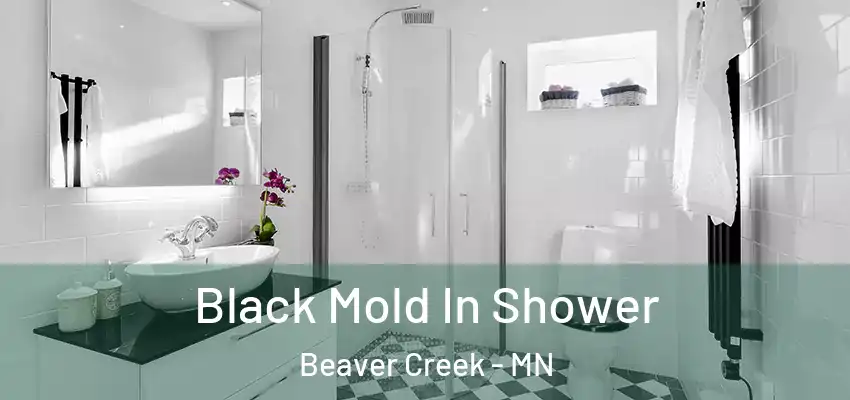  Black Mold In Shower Beaver Creek - MN