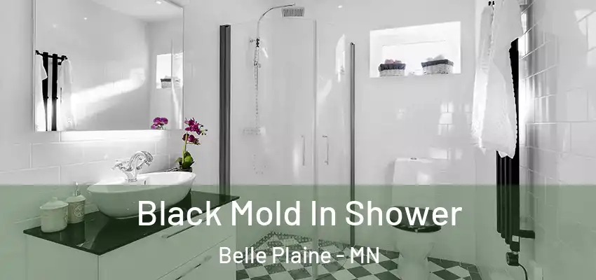  Black Mold In Shower Belle Plaine - MN