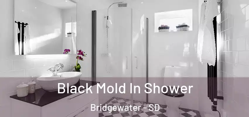  Black Mold In Shower Bridgewater - SD