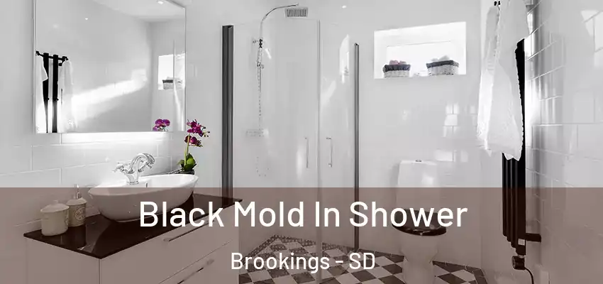  Black Mold In Shower Brookings - SD