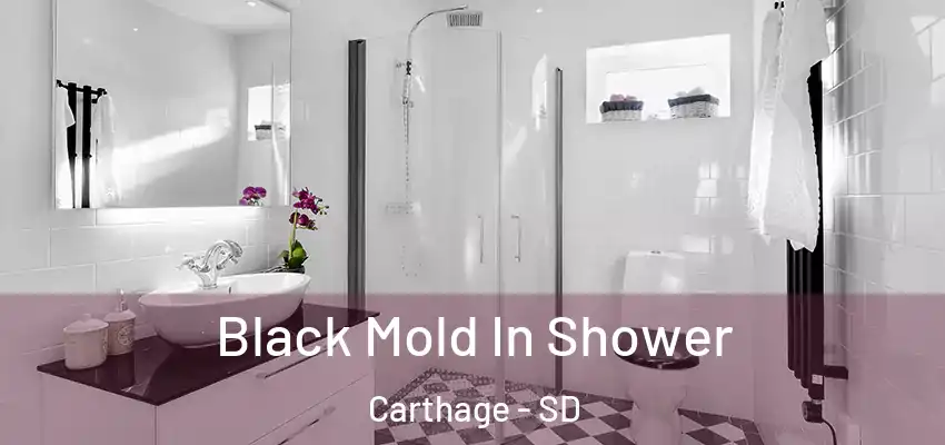 Black Mold In Shower Carthage - SD