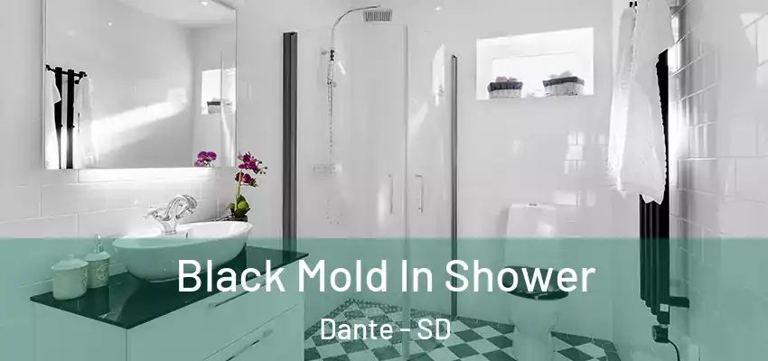  Black Mold In Shower Dante - SD