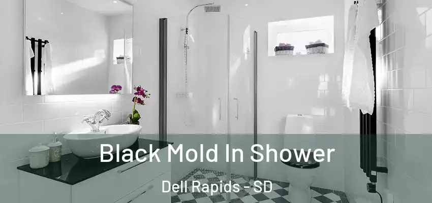  Black Mold In Shower Dell Rapids - SD