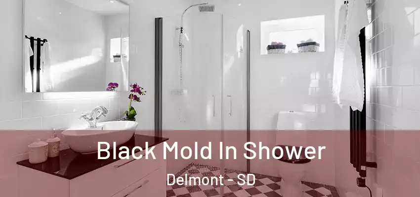  Black Mold In Shower Delmont - SD