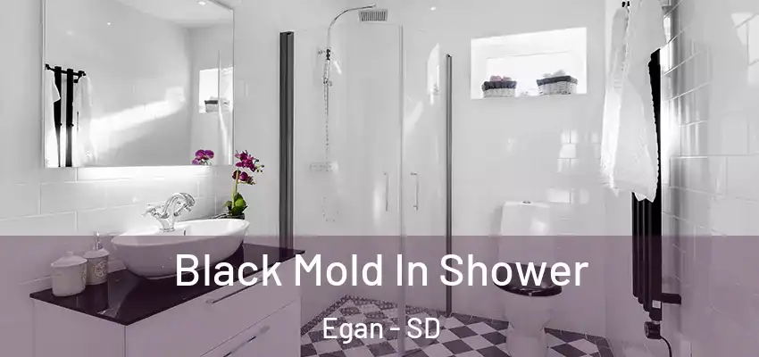  Black Mold In Shower Egan - SD