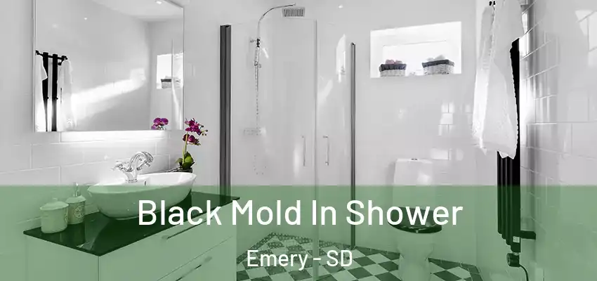  Black Mold In Shower Emery - SD