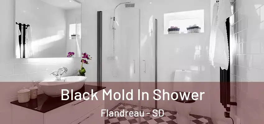  Black Mold In Shower Flandreau - SD