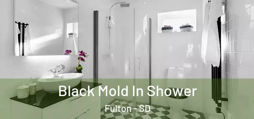  Black Mold In Shower Fulton - SD
