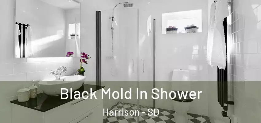  Black Mold In Shower Harrison - SD