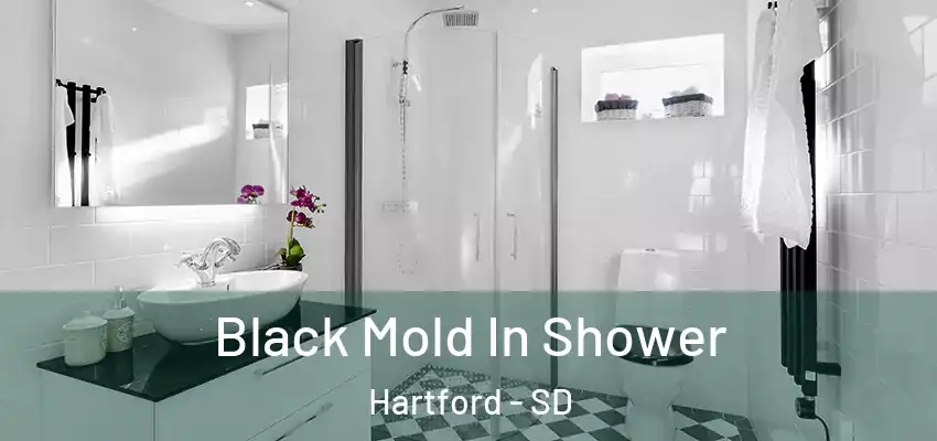  Black Mold In Shower Hartford - SD