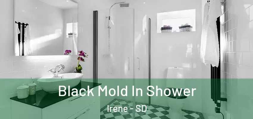  Black Mold In Shower Irene - SD