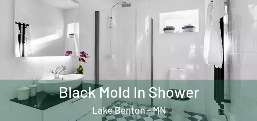 Black Mold In Shower Lake Benton - MN