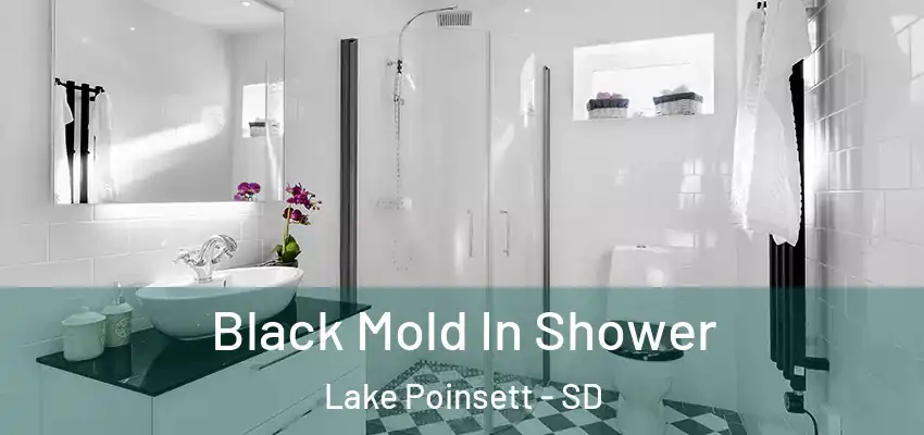 Black Mold In Shower Lake Poinsett - SD