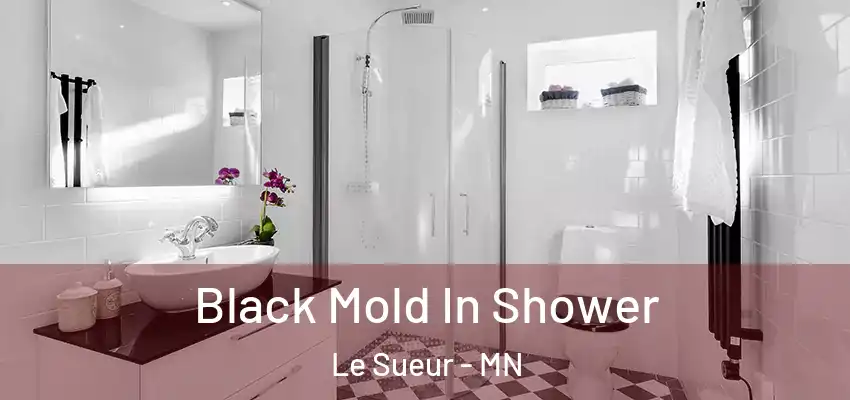 Black Mold In Shower Le Sueur - MN