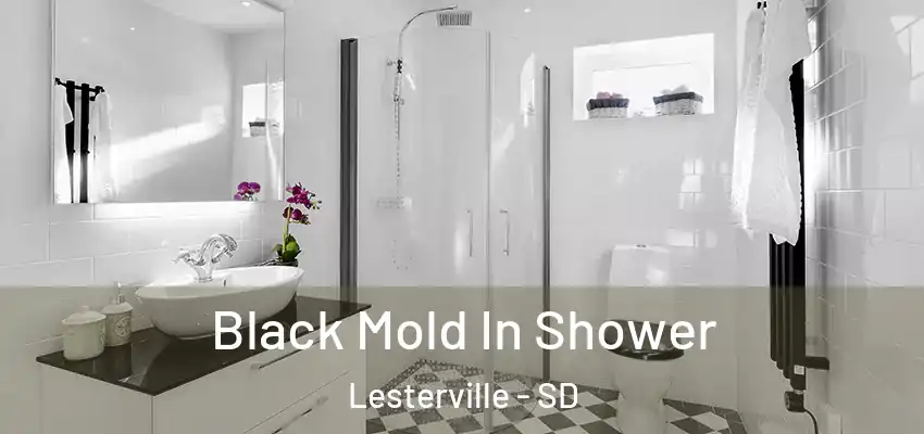 Black Mold In Shower Lesterville - SD