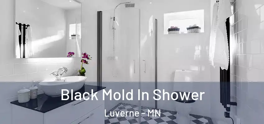  Black Mold In Shower Luverne - MN