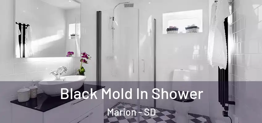  Black Mold In Shower Marion - SD