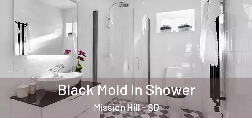  Black Mold In Shower Mission Hill - SD