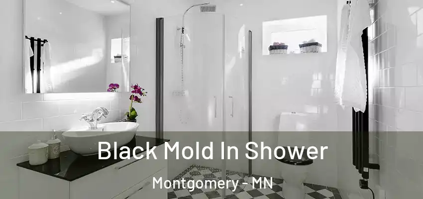  Black Mold In Shower Montgomery - MN