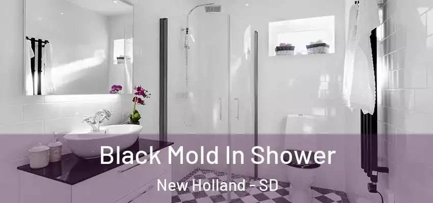  Black Mold In Shower New Holland - SD