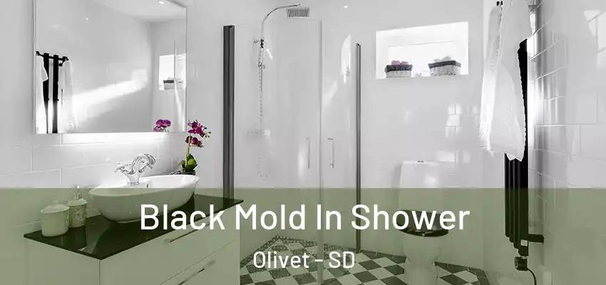  Black Mold In Shower Olivet - SD