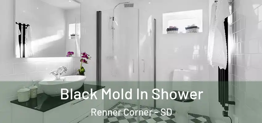  Black Mold In Shower Renner Corner - SD