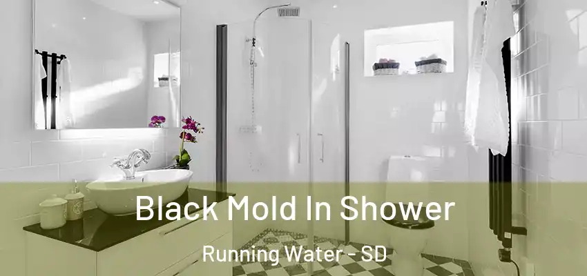  Black Mold In Shower Running Water - SD