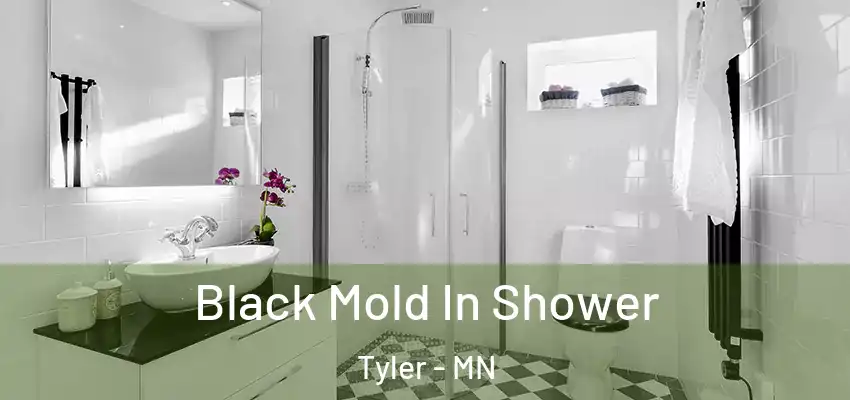  Black Mold In Shower Tyler - MN