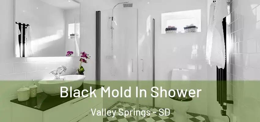 Black Mold In Shower Valley Springs - SD