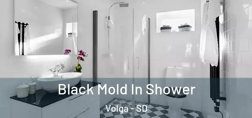  Black Mold In Shower Volga - SD