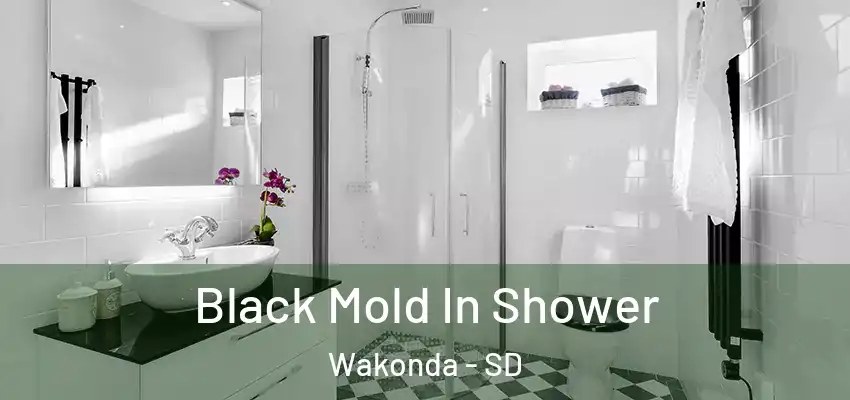  Black Mold In Shower Wakonda - SD
