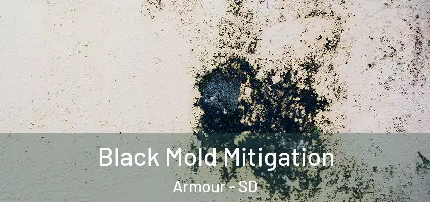  Black Mold Mitigation Armour - SD