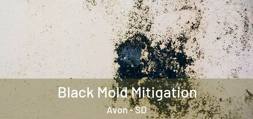  Black Mold Mitigation Avon - SD