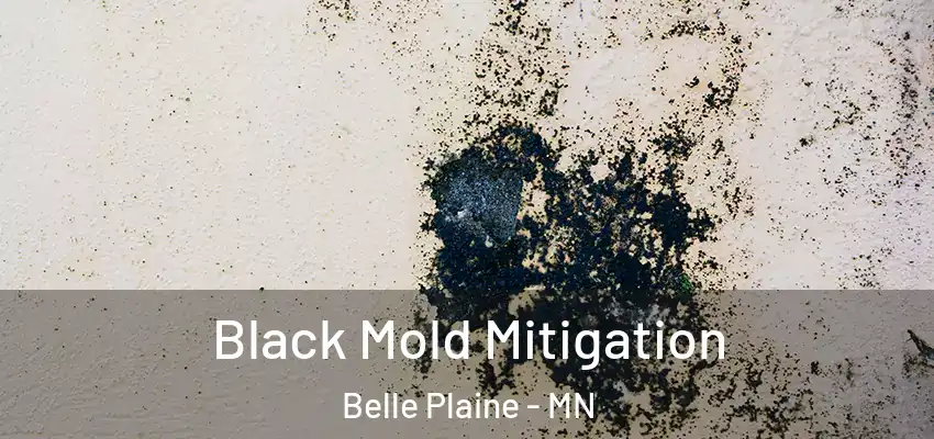  Black Mold Mitigation Belle Plaine - MN