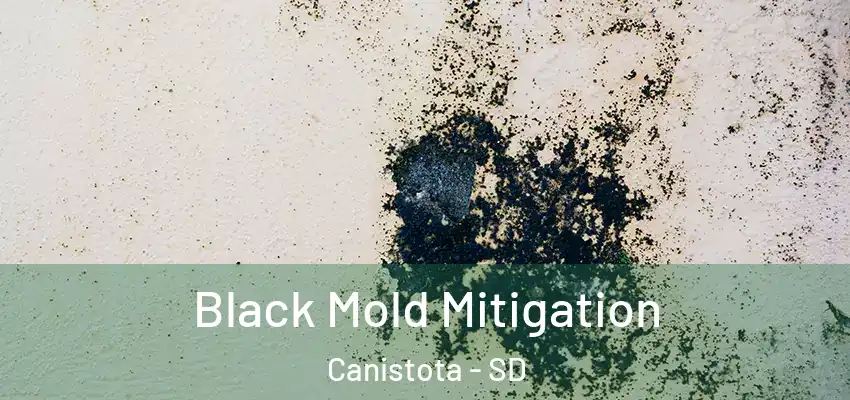  Black Mold Mitigation Canistota - SD