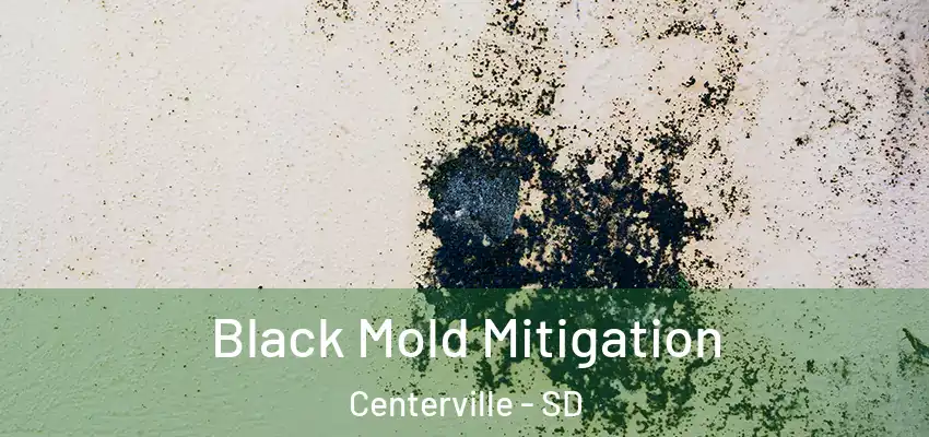  Black Mold Mitigation Centerville - SD