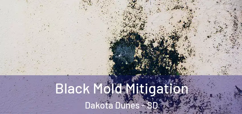  Black Mold Mitigation Dakota Dunes - SD