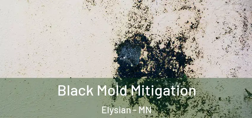  Black Mold Mitigation Elysian - MN