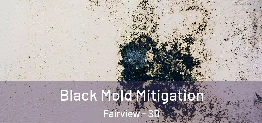 Black Mold Mitigation Fairview - SD